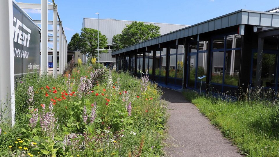 Biodiverse Landscape