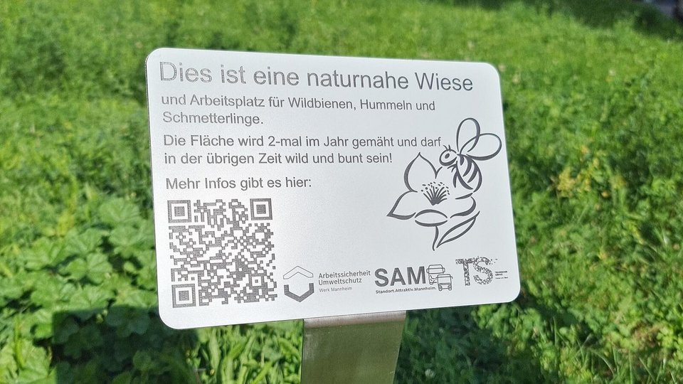 Sign explaining biodiversity